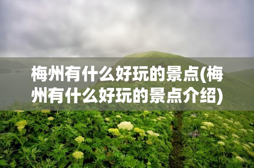 梅州有什么好玩的景点(梅州有什么好玩的景点介绍)