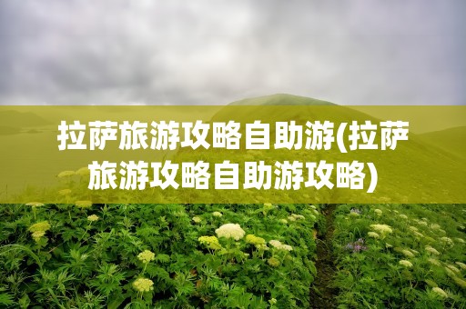 拉萨旅游攻略自助游(拉萨旅游攻略自助游攻略)