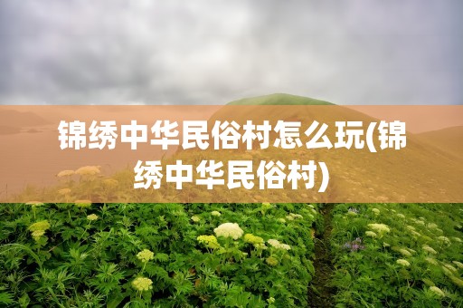 锦绣中华民俗村怎么玩(锦绣中华民俗村)