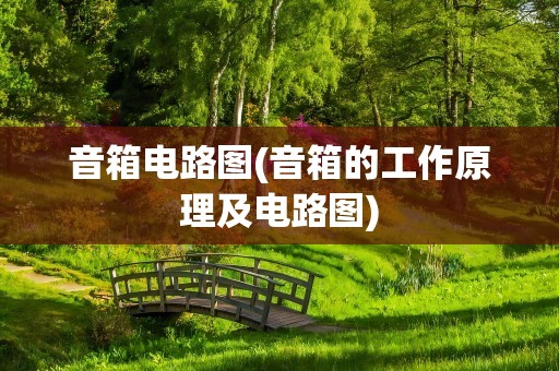 音箱电路图(音箱的工作原理及电路图)