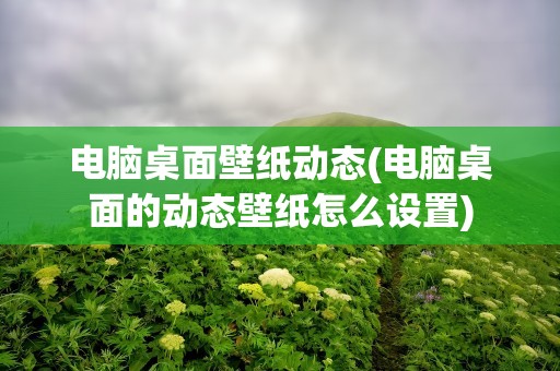 电脑桌面壁纸动态(电脑桌面的动态壁纸怎么设置)