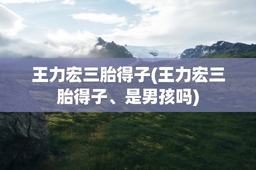 王力宏三胎得子(王力宏三胎得子、是男孩吗)