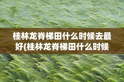 桂林龙脊梯田什么时候去最好(桂林龙脊梯田什么时候去最好看)