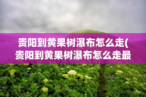 贵阳到黄果树瀑布怎么走(贵阳到黄果树瀑布怎么走最方便)