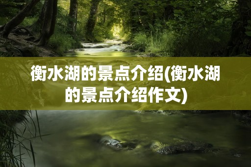 衡水湖的景点介绍(衡水湖的景点介绍作文)