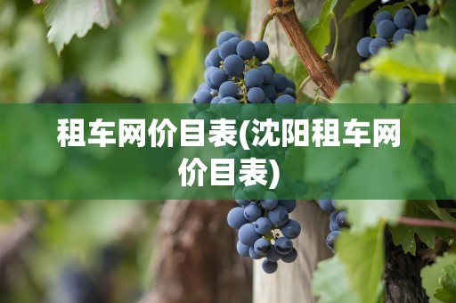 租车网价目表(沈阳租车网价目表)