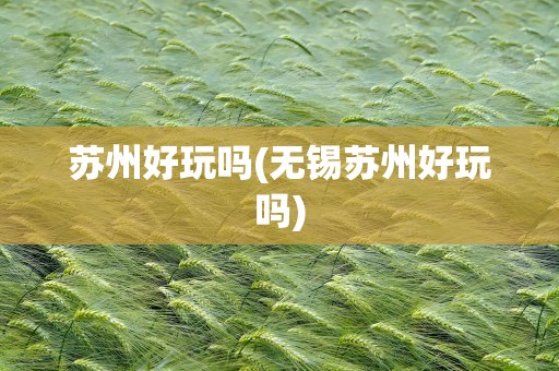 苏州好玩吗(无锡苏州好玩吗)