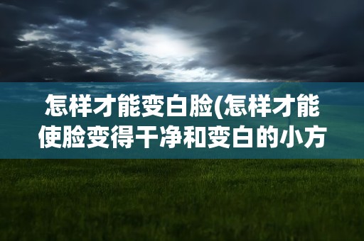 怎样才能变白脸(怎样才能使脸变得干净和变白的小方法)