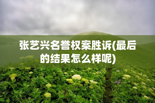 张艺兴名誉权案胜诉(最后的结果怎么样呢)