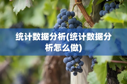 统计数据分析(统计数据分析怎么做)