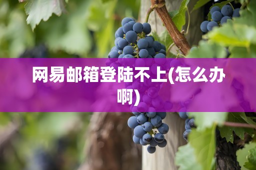 网易邮箱登陆不上(怎么办啊)