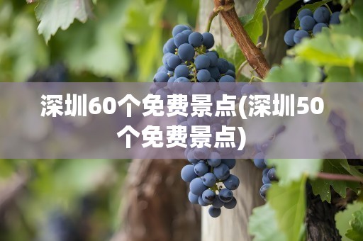 深圳60个免费景点(深圳50个免费景点)