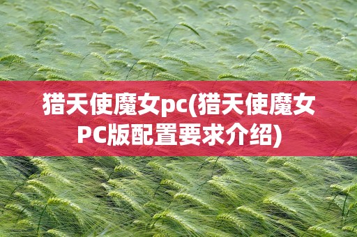 猎天使魔女pc(猎天使魔女PC版配置要求介绍)