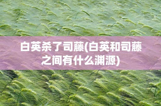 白英杀了司藤(白英和司藤之间有什么渊源)