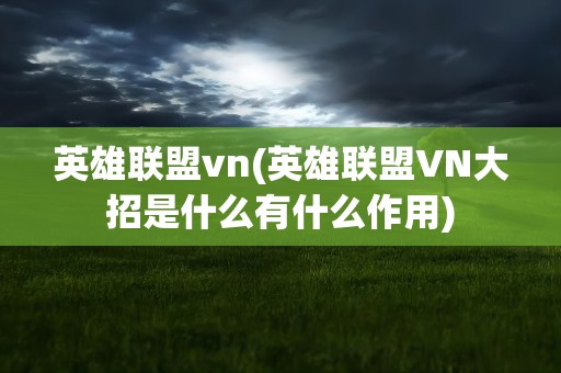 英雄联盟vn(英雄联盟VN大招是什么有什么作用)