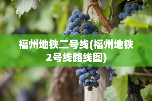 福州地铁二号线(福州地铁2号线路线图)