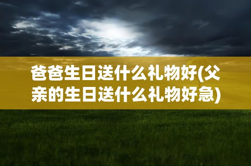 爸爸生日送什么礼物好(父亲的生日送什么礼物好急)