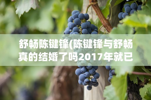 舒畅陈键锋(陈键锋与舒畅真的结婚了吗2017年就已经分手)