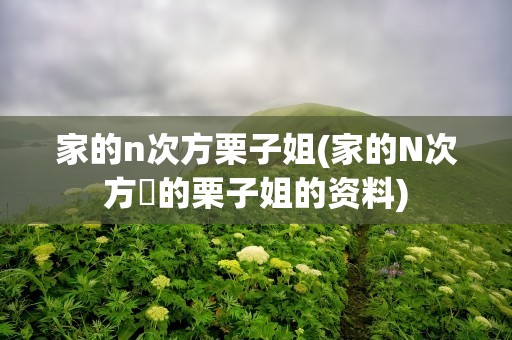 家的n次方栗子姐(家的N次方裏的栗子姐的资料)