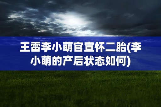 王雷李小萌官宣怀二胎(李小萌的产后状态如何)