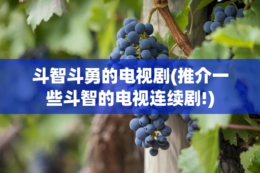 斗智斗勇的电视剧(推介一些斗智的电视连续剧!)