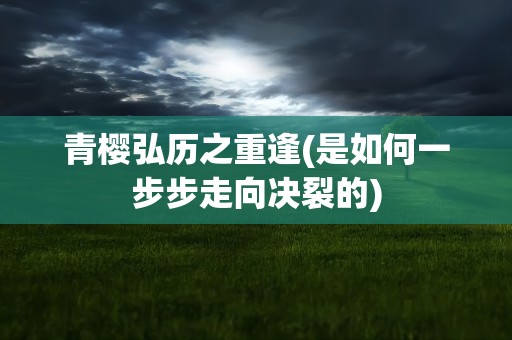 青樱弘历之重逢(是如何一步步走向决裂的)