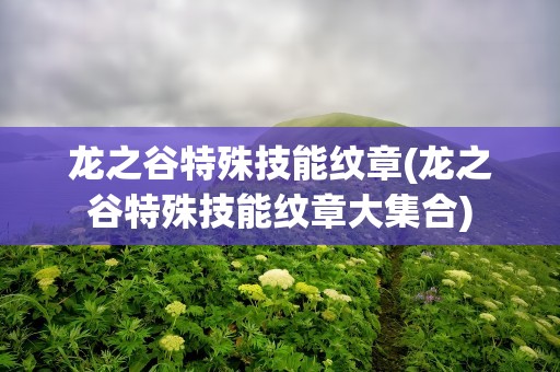 龙之谷特殊技能纹章(龙之谷特殊技能纹章大集合)