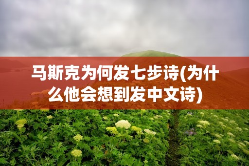 马斯克为何发七步诗(为什么他会想到发中文诗)