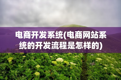 电商开发系统(电商网站系统的开发流程是怎样的)