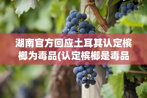 湖南官方回应土耳其认定槟榔为毒品(认定槟榔是毒品的国家)