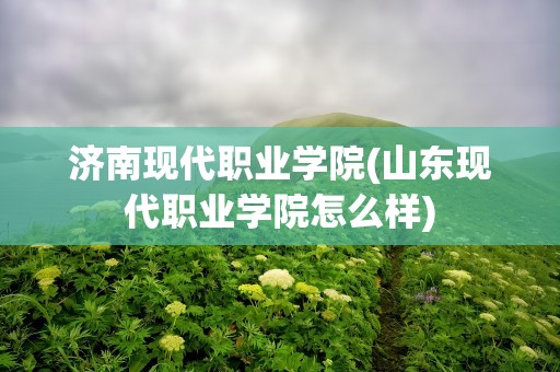 济南现代职业学院(山东现代职业学院怎么样)