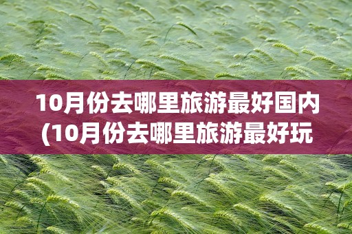 10月份去哪里旅游最好国内(10月份去哪里旅游最好玩国内)