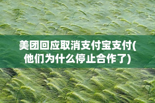 美团回应取消支付宝支付(他们为什么停止合作了)