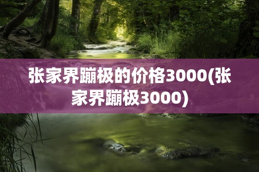 张家界蹦极的价格3000(张家界蹦极3000)