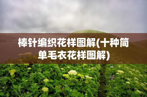 棒针编织花样图解(十种简单毛衣花样图解)