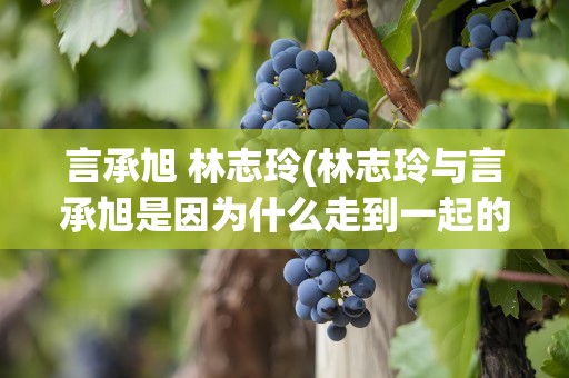 言承旭 林志玲(林志玲与言承旭是因为什么走到一起的)