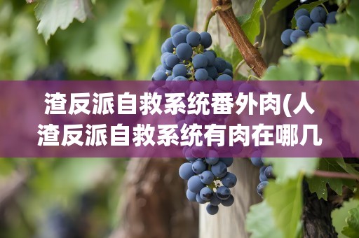 渣反派自救系统番外肉(人渣反派自救系统有肉在哪几章)