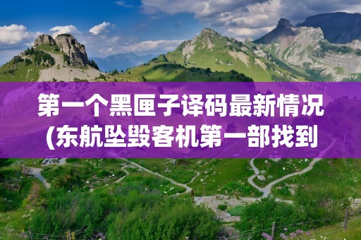 第一个黑匣子译码最新情况(东航坠毁客机第一部找到的黑匣子译码最新情况三问三答)