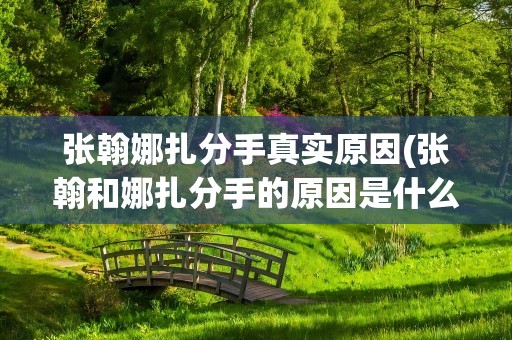 张翰娜扎分手真实原因(张翰和娜扎分手的原因是什么)