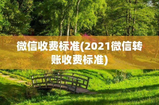 微信收费标准(2021微信转账收费标准)