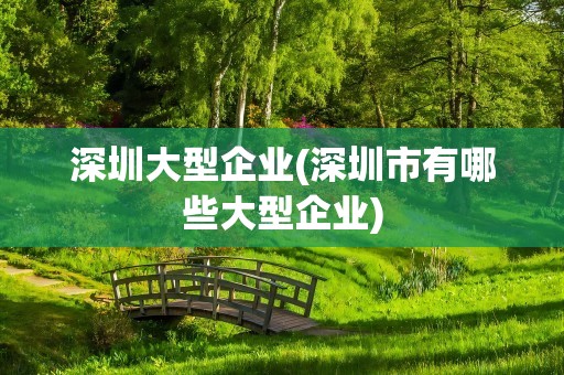 深圳大型企业(深圳市有哪些大型企业)