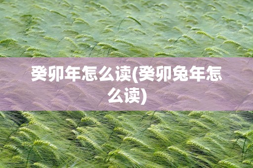 癸卯年怎么读(癸卯兔年怎么读)