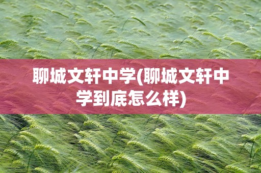 聊城文轩中学(聊城文轩中学到底怎么样)