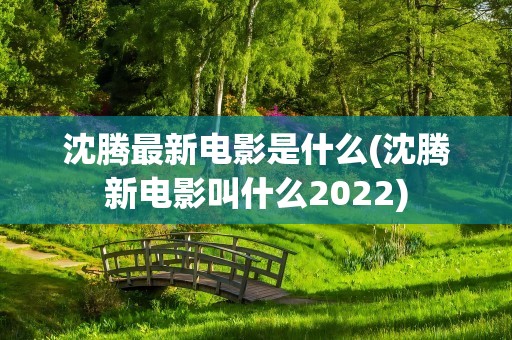 沈腾最新电影是什么(沈腾新电影叫什么2022)