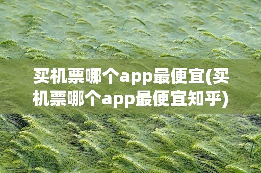 买机票哪个app最便宜(买机票哪个app最便宜知乎)