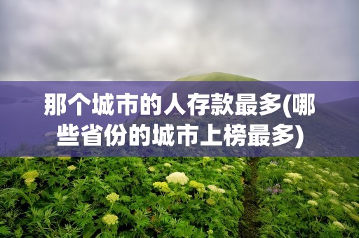 那个城市的人存款最多(哪些省份的城市上榜最多)