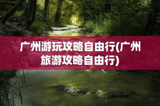 广州游玩攻略自由行(广州旅游攻略自由行)