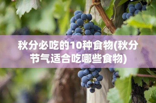 秋分必吃的10种食物(秋分节气适合吃哪些食物)