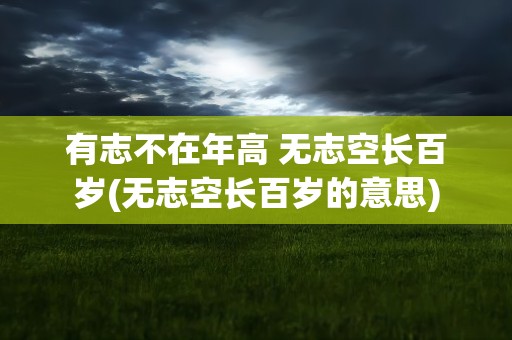 有志不在年高 无志空长百岁(无志空长百岁的意思)