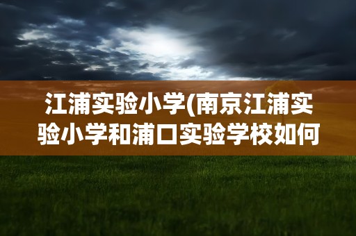 江浦实验小学(南京江浦实验小学和浦口实验学校如何做比较)